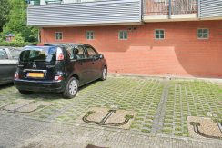 31 CvRijplnts 49 pp 01a