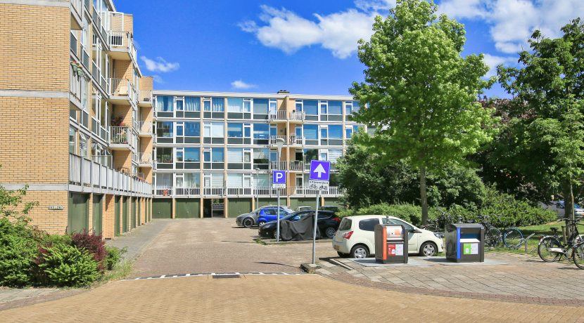 31 Einstein 251 Omgeving 01b