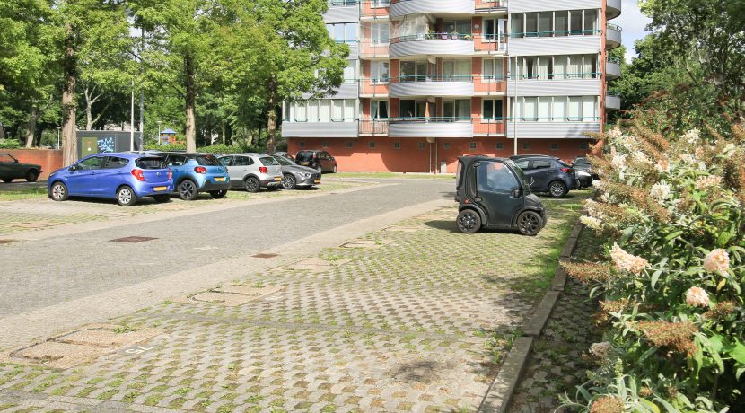 32 CvRijplnts 49 pp 01b