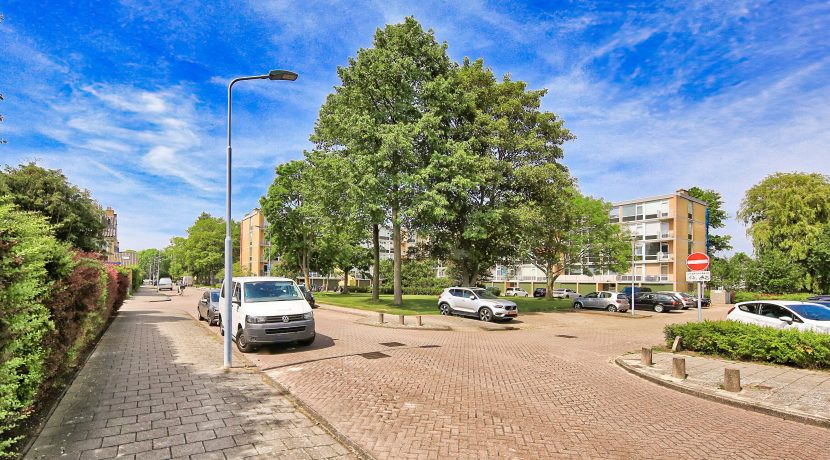 32 Einstein 251 Omgeving 01c