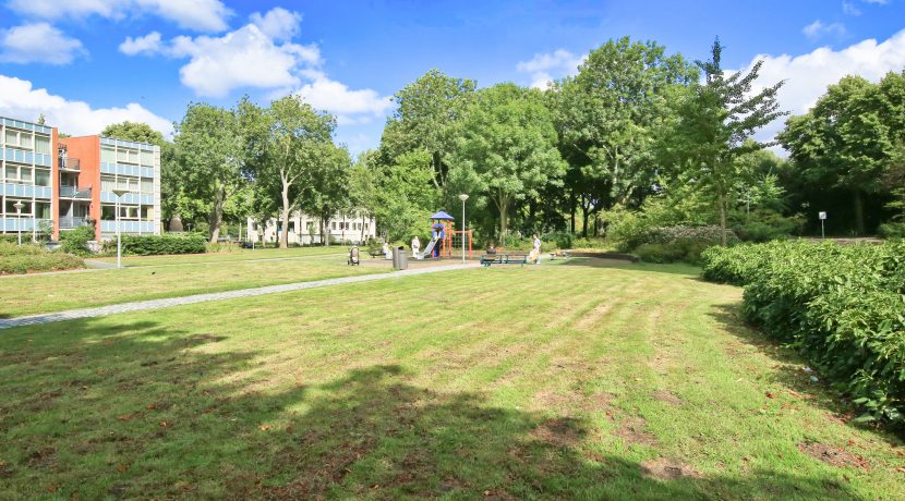 36 CvRijplnts 49 omgeving 01c