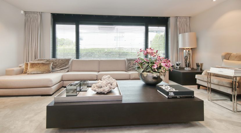 30 Ranonkel 3 living 01e