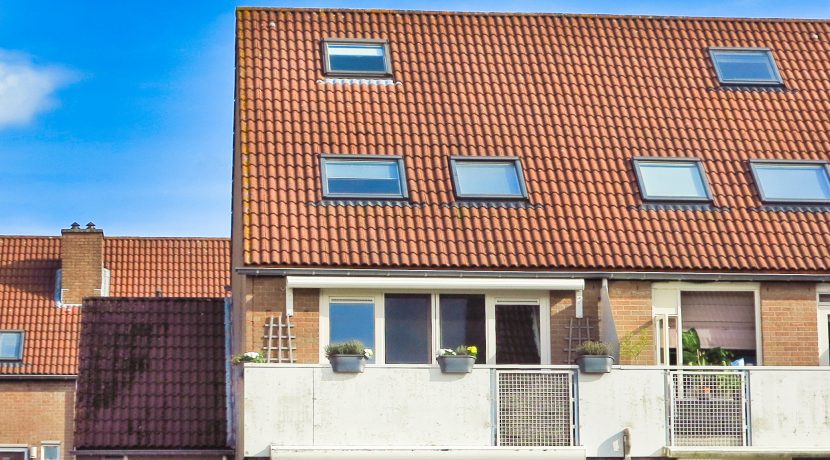 36 Thomsonstraat 20 gevel 02a