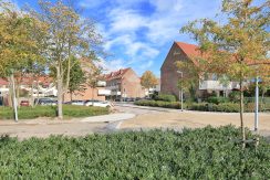 38 Thomsonstraat 20 Straatbeeld 01d