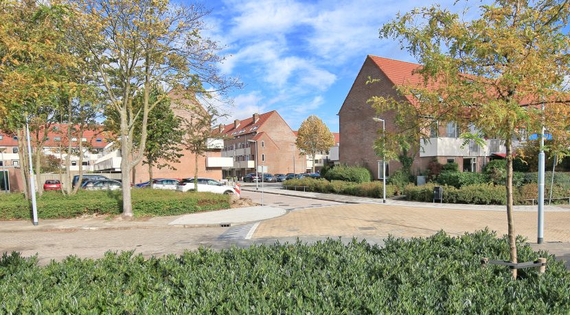 38 Thomsonstraat 20 Straatbeeld 01d