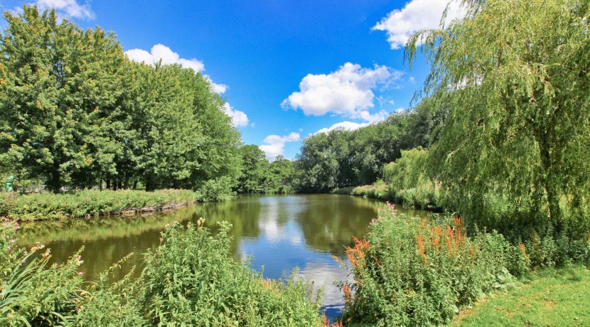 10 Nachtwacht 455 omgeving 01a