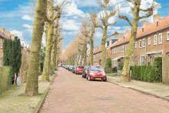 12 Ibisstraat 48 Straatbeeld 01a