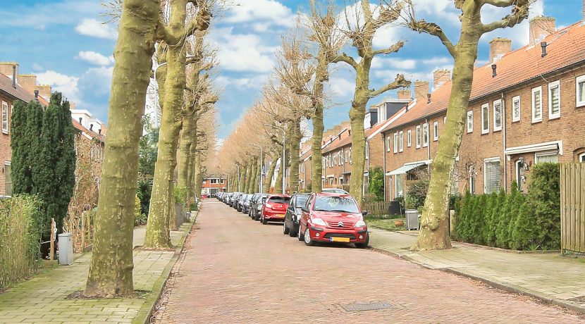 12 Ibisstraat 48 Straatbeeld 01a