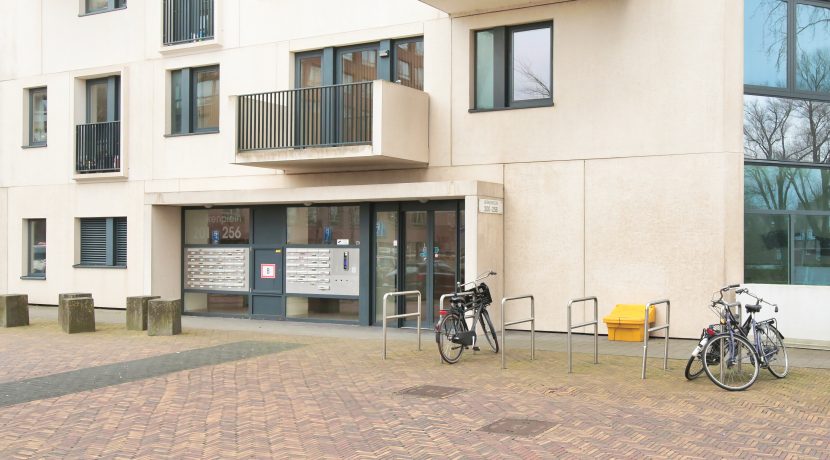 15 Berkenplein 204 gevel 01c