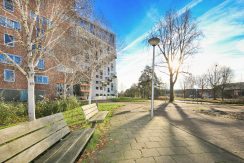 38 Berkenplein 204 Straatbeeld 01d