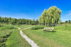 41 Berkenplein 204 Omgeving 01g