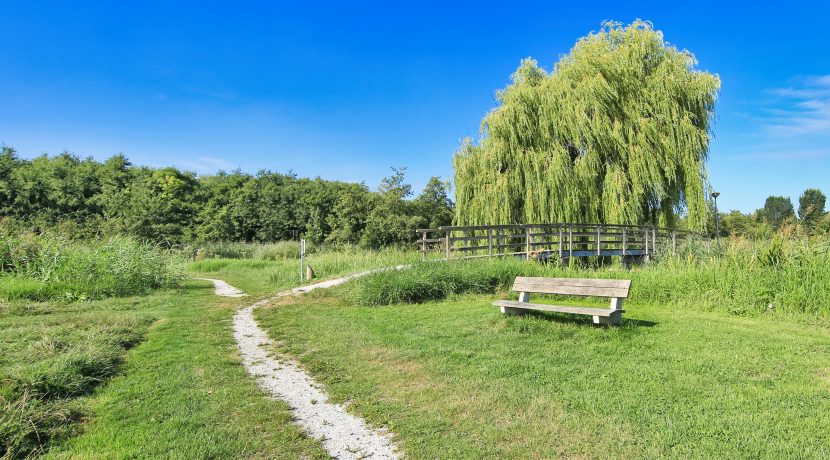 41 Berkenplein 204 Omgeving 01g