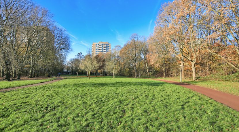 48 Nachtwacht 455 omgeving 01b