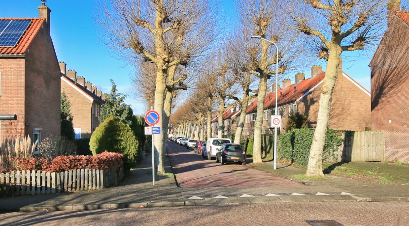 50 Ibisstraat 48 Straatbeeld 01c