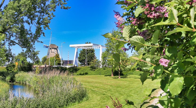 52 Ibisstraat 48 Omgeving 01b