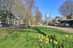 02 Pa Verkuijlln 135 straatbeeld 01a