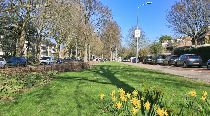 02 Pa Verkuijlln 135 straatbeeld 01a