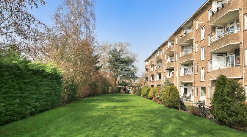 10 Pa Verkuijlln 135 tuin 01a