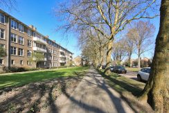 35 Pa Verkuijlln 135 straatbeeld 01e