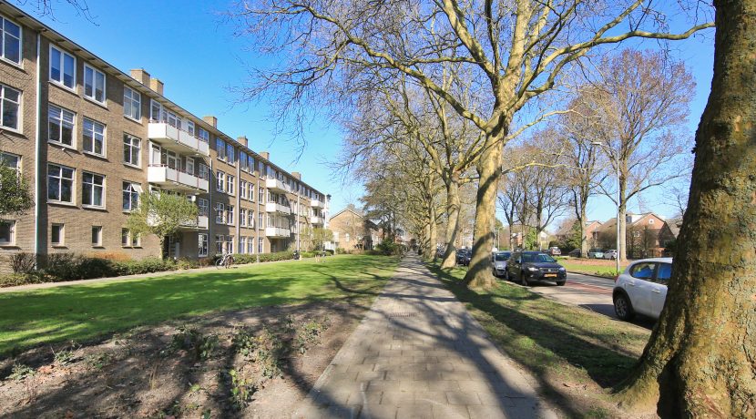 35 Pa Verkuijlln 135 straatbeeld 01e