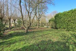 50 Nieuwemeerdijk 377 Tuin 01h