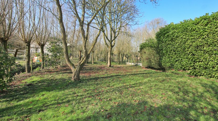 50 Nieuwemeerdijk 377 Tuin 01h