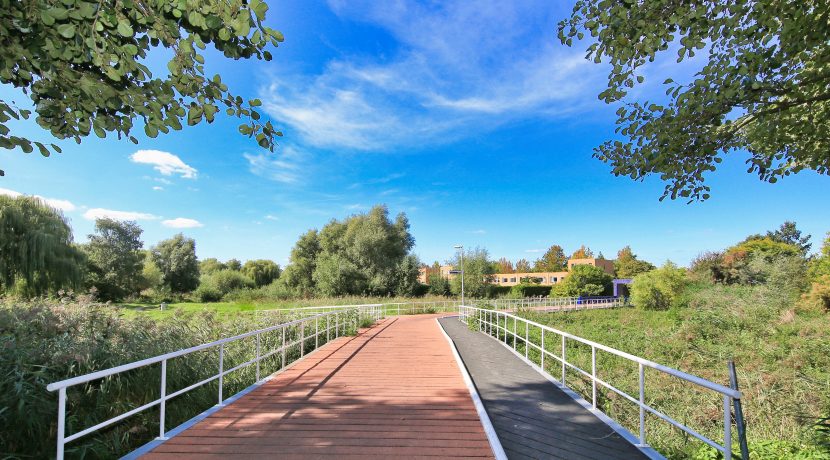 52 Count Basiestraat 22 omgeving 01b