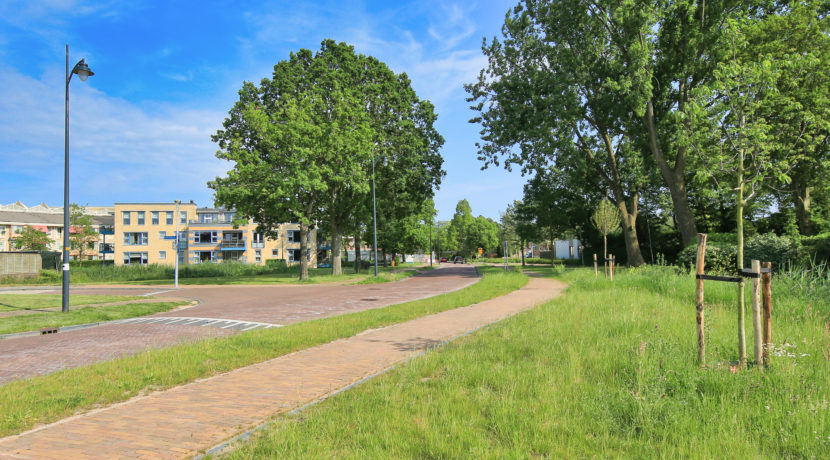 41 Kamerlingh Onneslaan 143c Straatbeeld 01d