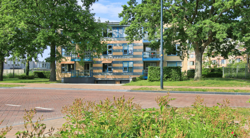 42 Kamerlingh Onneslaan 143c Straatbeeld 01e