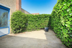 25 Wernerstr 9 tuin 01b