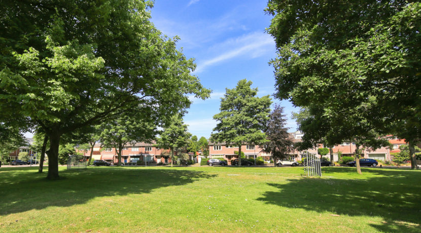 35 Ibisstraat 48 Omgeving 01a