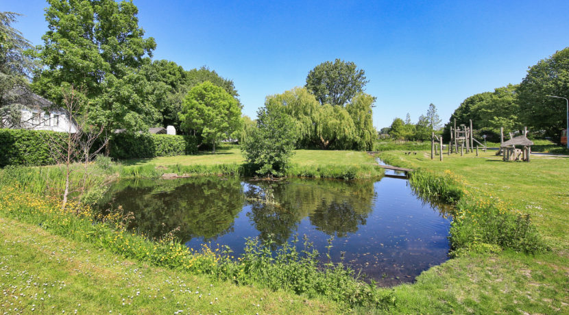 36 Ibisstraat 48 Omgeving 01b